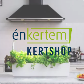 Enkertem